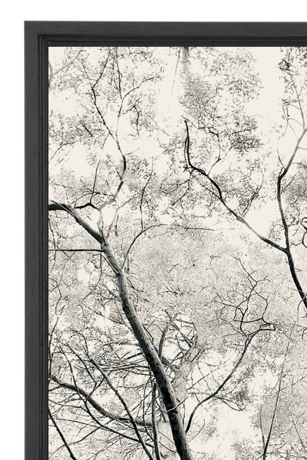 FORCE n° 30 Fine Art Photography Sophie Le Gendre - Subjektiv.art