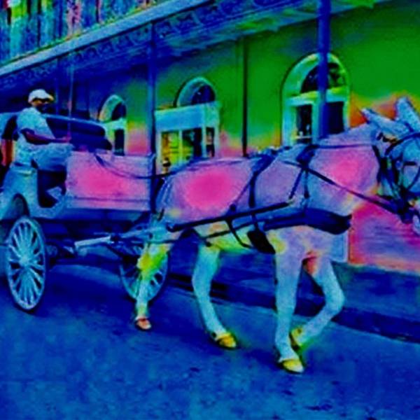 Royal and New Orleans Culture Expressive and gestural Photography Lisa Mitchell - Subjektiv.art