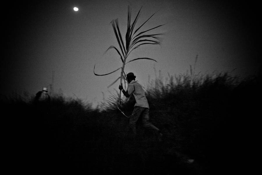 Man with sugar cane Fine Art Photography Rijasolo Rija - Subjektiv.art