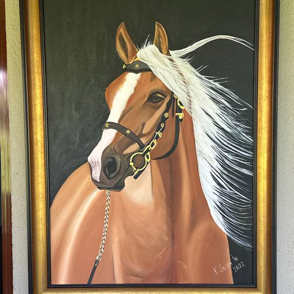 Freedom horse Modern Painting FundaSezen in - Subjektiv.art