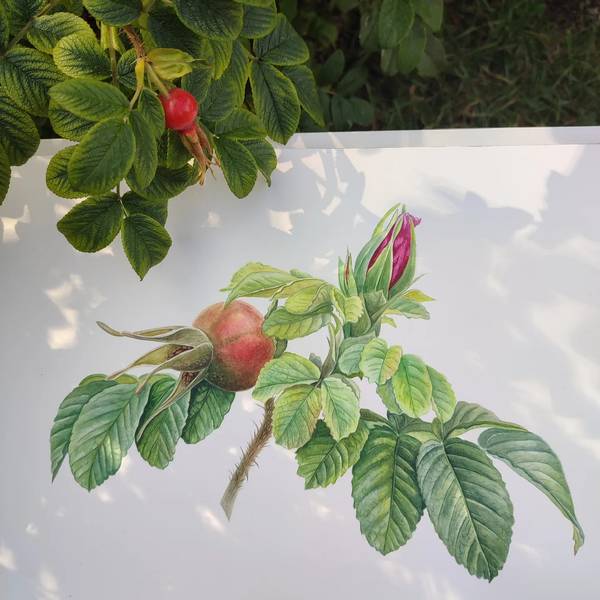 Second Wind Photorealistic Painting Oleksandra Serhiienko - Subjektiv.art
