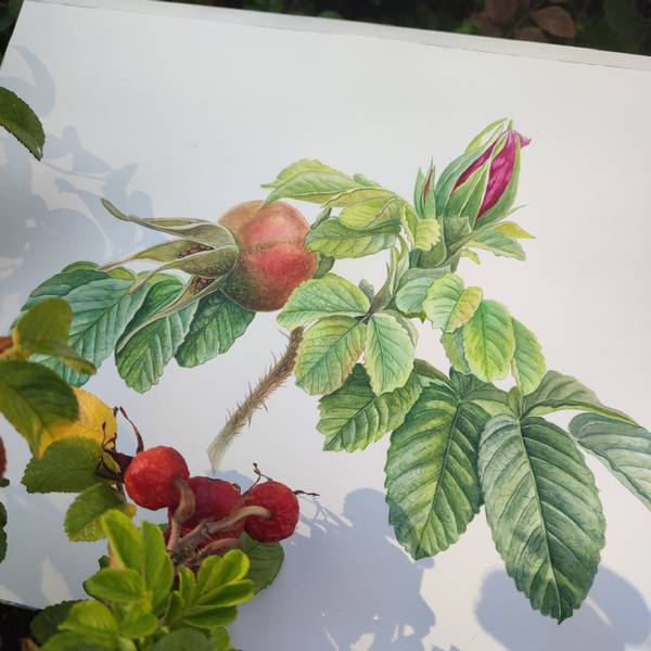 Second Wind Photorealistic Painting Oleksandra Serhiienko - Subjektiv.art